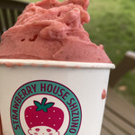 しずの苺園 直売所 - いちごに砂糖を大量に加えてあり甘さといちごのさわやかさがマッチしている