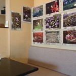 シーズスポット・プチカフェ - 店内（テーブルと壁の写真）