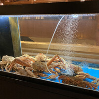 かに道楽 新宿本店 - 