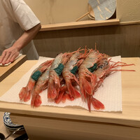 すし処 めくみ - ボタンエビ