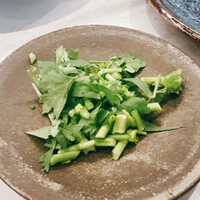 CINA New Modern Chinese - 