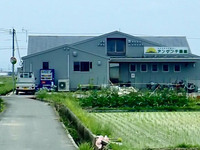 Andante Nouen photo 3