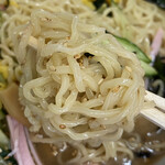 いろは本店 - 麺アップ