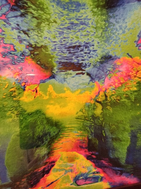 Wine &amp; Italian l'ORTO photo 4