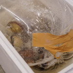 いしまる - "鳥蛤（とりがひ）"