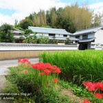 御善房たか本 - 