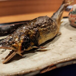 尾頭橋すみや - 郡上の鮎は、今年はなかなか漁れないとか