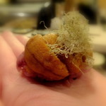 寿司処 しん - (*´艸｀*)  ウニをMY手に乗せて食べるんです！素敵すぎます！