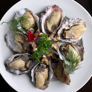 For Kagurazaka x Oyster, come to our store. Providing fresh Oyster