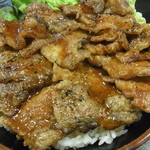 Yakinikudontadon - カルビ丼（特盛）
