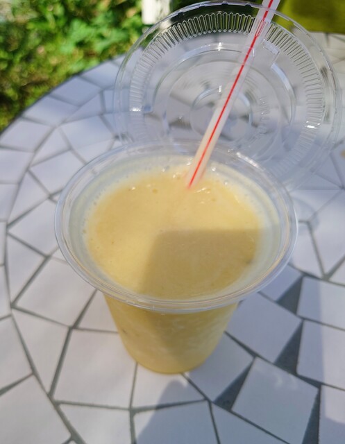 風花（フウカ） - 近文（ジェラート・アイスクリーム）の写真