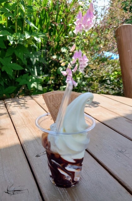 風花（フウカ） - 近文（ジェラート・アイスクリーム）の写真