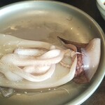 焼肉 宝島 - イカ