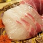 出羽鮨 - シマアジ。