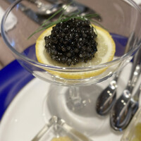 Russian Restaurant ROGOVSKI 銀座 - 