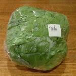 ディオ - レタス１玉 (税抜)91円 (2022.07.04)