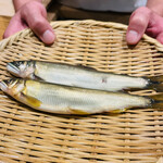 日本料理 太月 - 