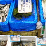 秀長水産 - お手頃価格の鮮魚