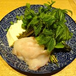 早苗饗  - 「山菜鍋」 行者ニンニク　芹　赤コゴミ　コシアブラ（とらふぐ、豆腐）