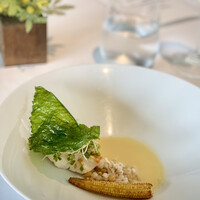 Wattle Tokyo - 