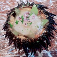 かにじぇんぬ 銀座 - 