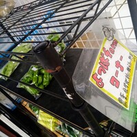ル ベナトン - 