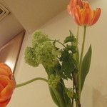 小石川 かとう - この日のお花