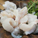 きくち - 「河豚ぶつ」：これまた豪快！厚切りにしたふぐの身を
      湯引きして冷水で〆たもの
      