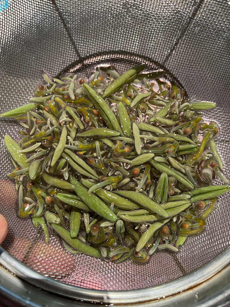 蕎麦前 ごとう