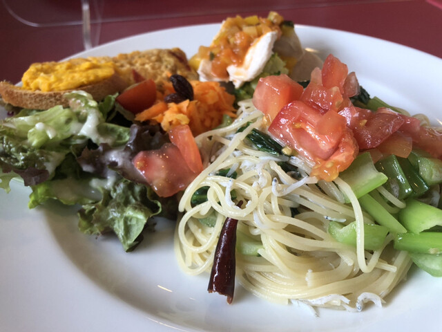 Capo PELLICANO Hongo Ten