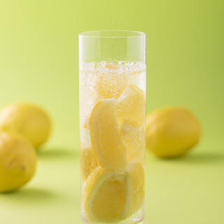 中国料理 大観苑_0