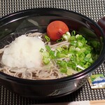 Ishibiki Juuwari Soba Gensei - 特撰 南高梅とおろし ぶっかけ十割蕎麦