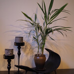 ザ・テラス・サクマ - 