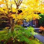 더 테라스 사쿠마