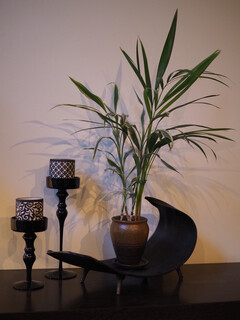 ザ・テラス・サクマ - 