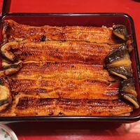 うなぎ割烹 大江戸 - 