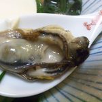 どんまい - 2013.3. 牡蠣ちゃん