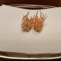 日本料理 山里 - 