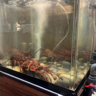 四季の味・奴_2