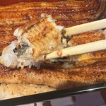 Unagi Fujita - 