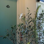 ラトリエ ドゥ ノノ - オリーブの木