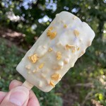 ラトリエ ドゥ ノノ - レモンフィナンシェショコラバー