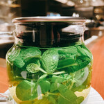 スガラボヴィー - 