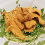 スガラボヴィー - 