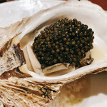 スガラボヴィー - 