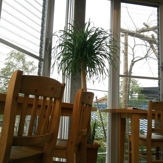 たま姫キッチン うふ_2