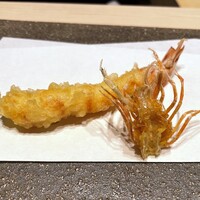 新宿 鮨 よこ田 - 