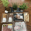 Asatsuyuhiroba - 料理写真:今日の購入品