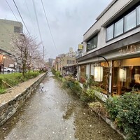 りょうりや 御旅屋 - 高瀬川のほとり桜の季節最高です
