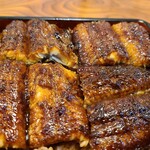 Unagi Noguchi - 